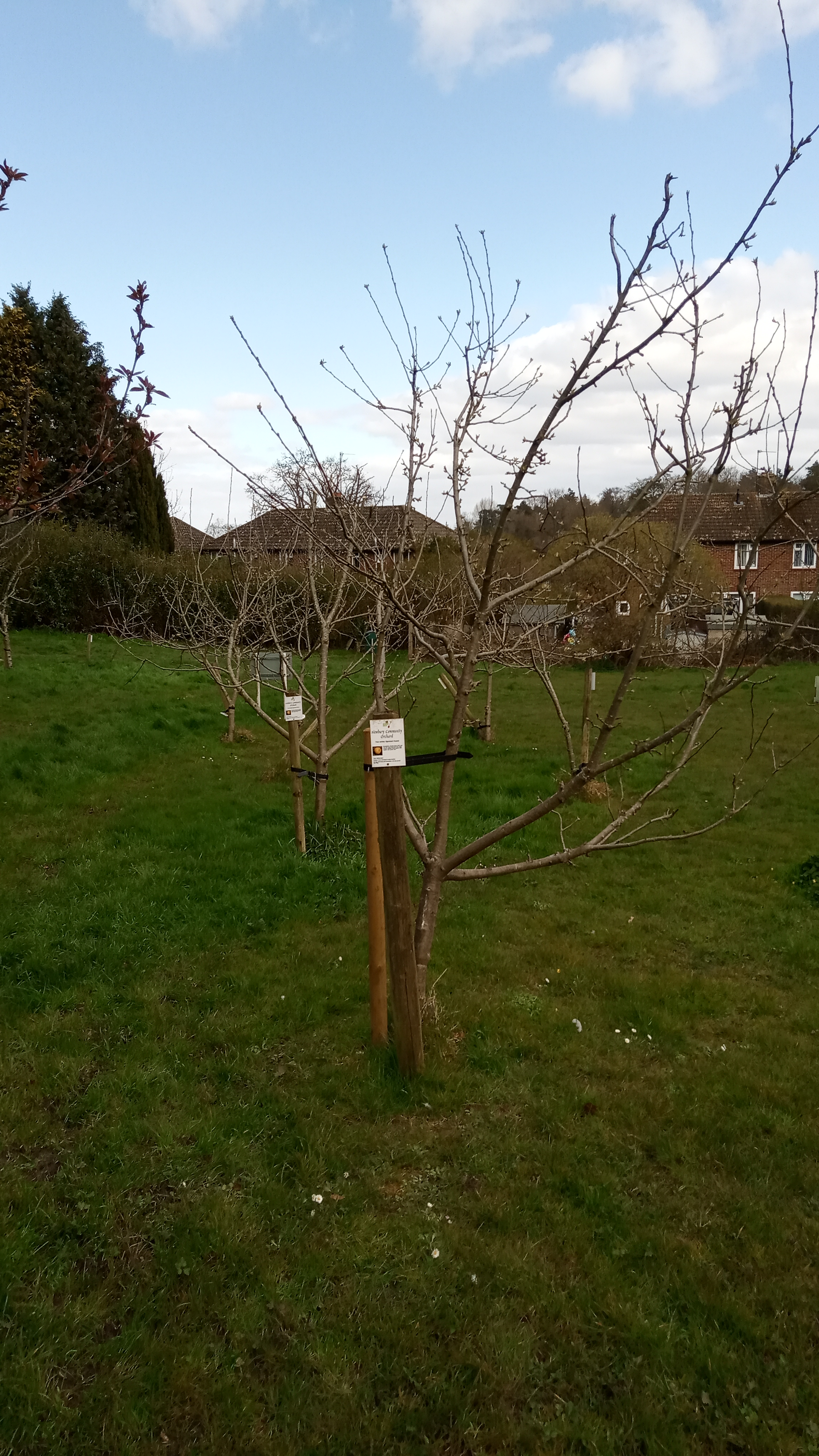BArn Crescent March 2020
